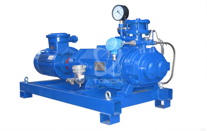 Pompe à vide à anneau liquide